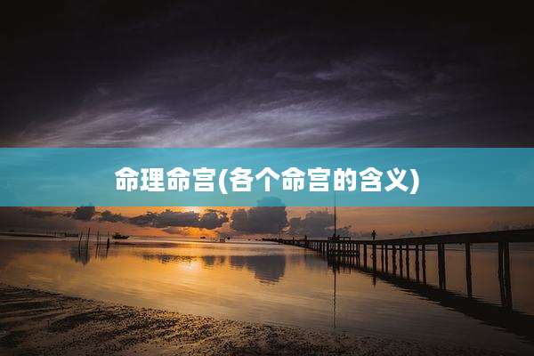命理命宫(各个命宫的含义)