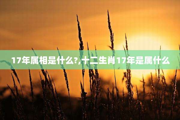17年属相是什么?,十二生肖17年是属什么