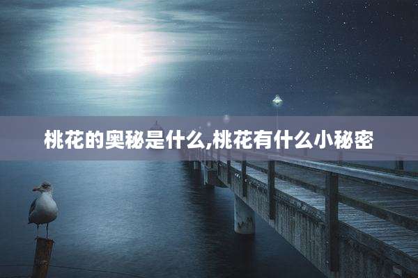 桃花的奥秘是什么,桃花有什么小秘密