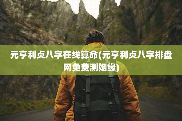 元亨利贞八字在线算命(元亨利贞八字排盘网免费测姻缘)