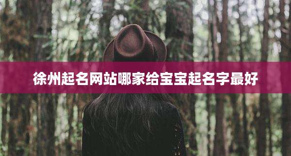 徐州起名网站哪家给宝宝起名字最好