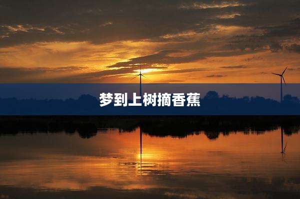 梦到上树摘香蕉