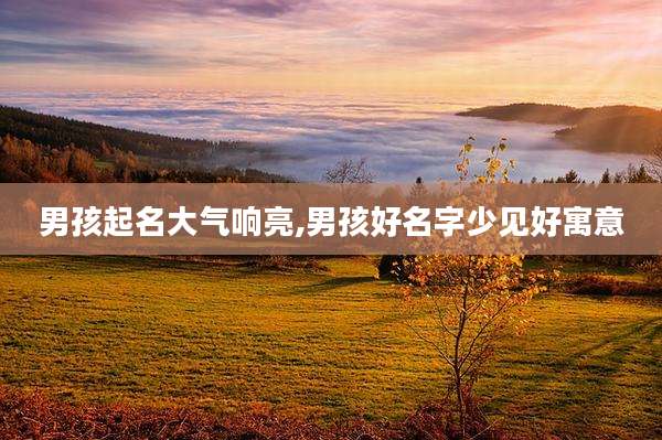 男孩起名大气响亮,男孩好名字少见好寓意