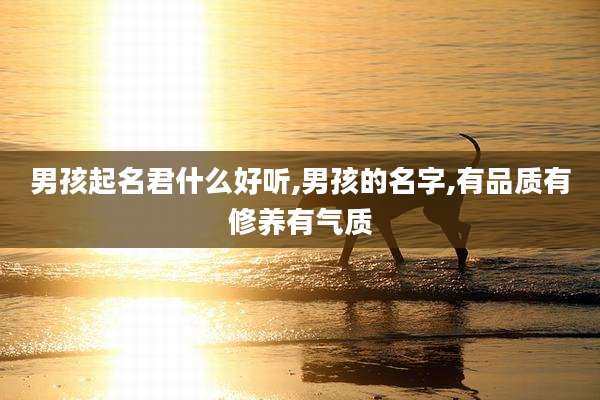 男孩起名君什么好听,男孩的名字,有品质有修养有气质