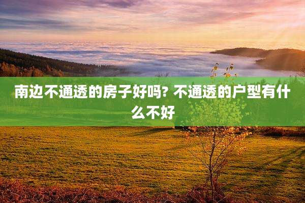 南边不通透的房子好吗? 不通透的户型有什么不好