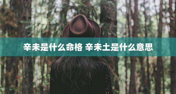 辛未是什么命格 辛未土是什么意思