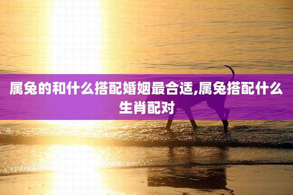 属兔的和什么搭配婚姻最合适,属兔搭配什么生肖配对