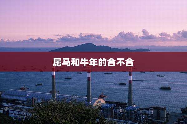 属马和牛年的合不合