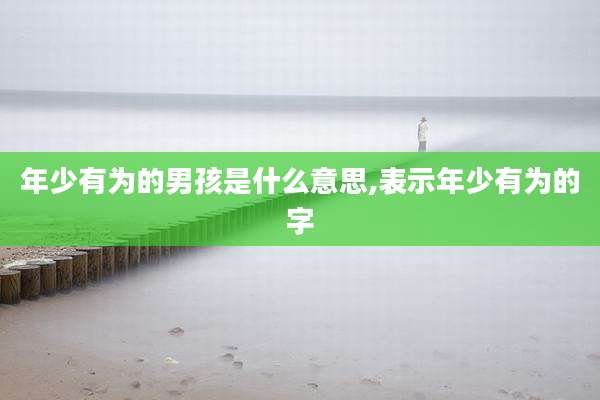 年少有为的男孩是什么意思,表示年少有为的字