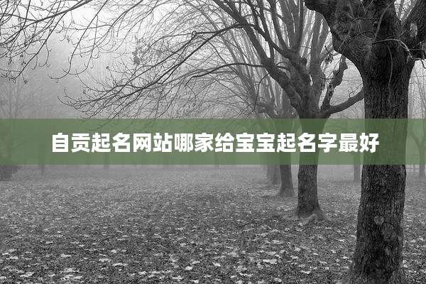 自贡起名网站哪家给宝宝起名字最好