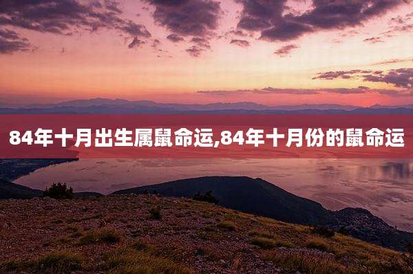 84年十月出生属鼠命运,84年十月份的鼠命运