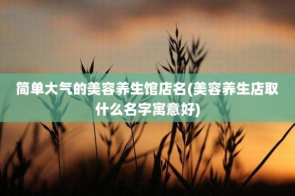 简单大气的美容养生馆店名(美容养生店取什么名字寓意好)