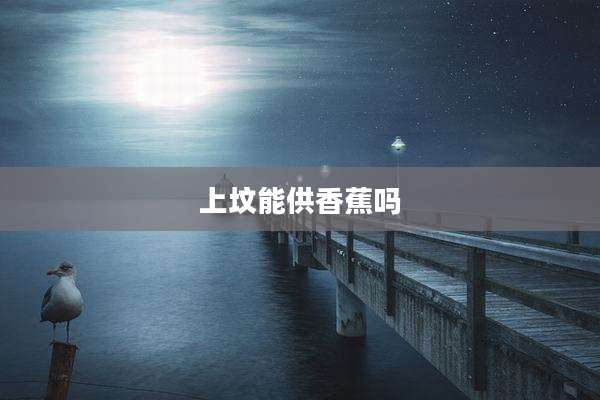 上坟能供香蕉吗