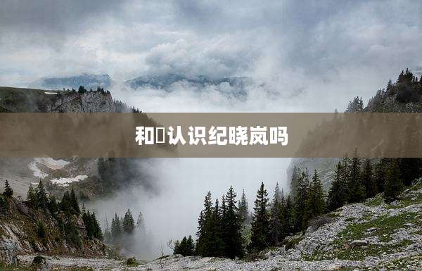 和珅认识纪晓岚吗