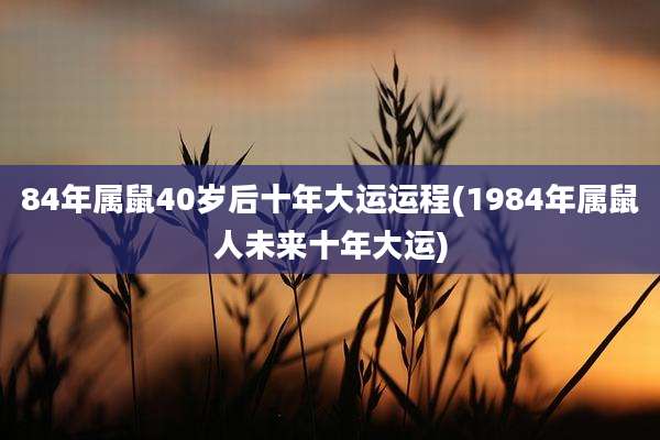 84年属鼠40岁后十年大运运程(1984年属鼠人未来十年大运)
