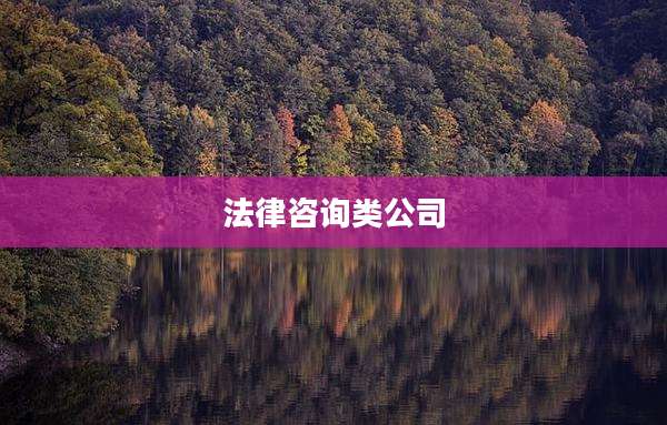 法律咨询类公司
