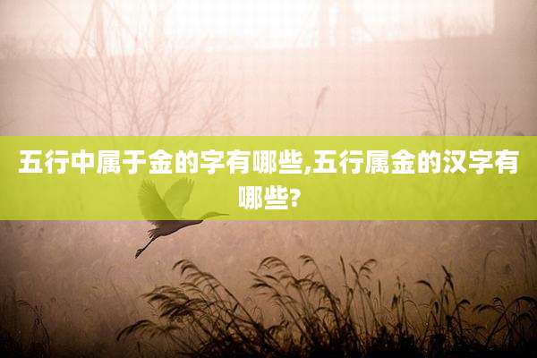 五行中属于金的字有哪些,五行属金的汉字有哪些?