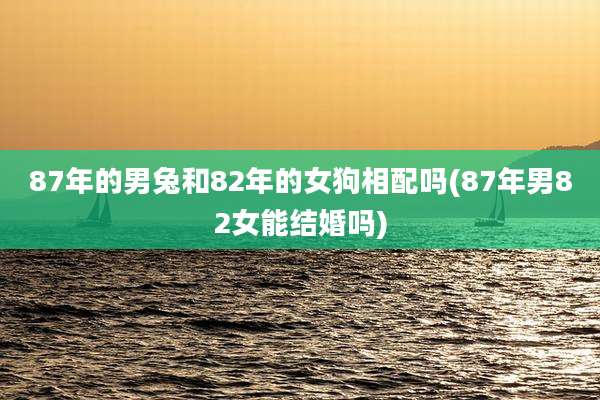 87年的男兔和82年的女狗相配吗(87年男82女能结婚吗)