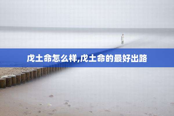 戊土命怎么样,戊土命的最好出路