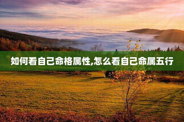 如何看自己命格属性,怎么看自己命属五行