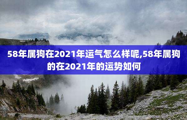 58年属狗在2021年运气怎么样呢,58年属狗的在2021年的运势如何