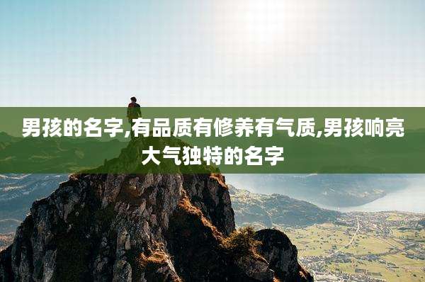 男孩的名字,有品质有修养有气质,男孩响亮大气独特的名字