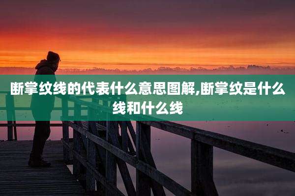 断掌纹线的代表什么意思图解,断掌纹是什么线和什么线