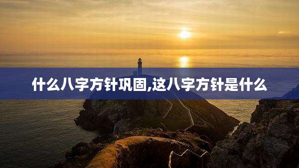 什么八字方针巩固,这八字方针是什么