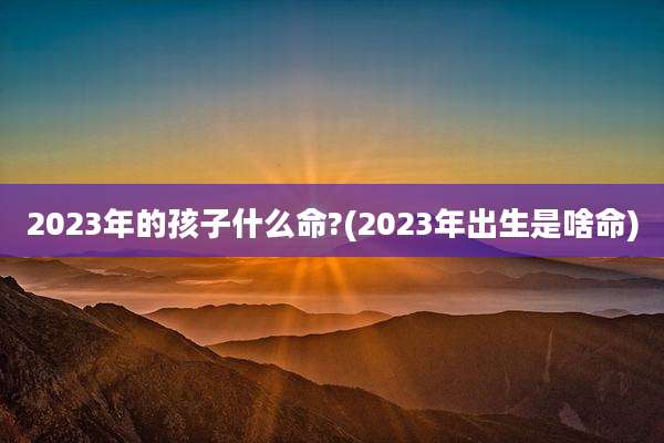 2023年的孩子什么命?(2023年出生是啥命)