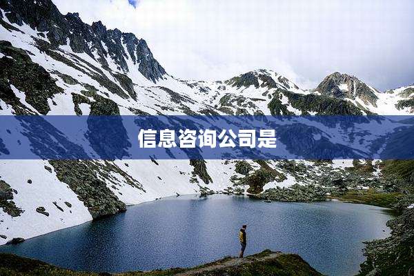 信息咨询公司是