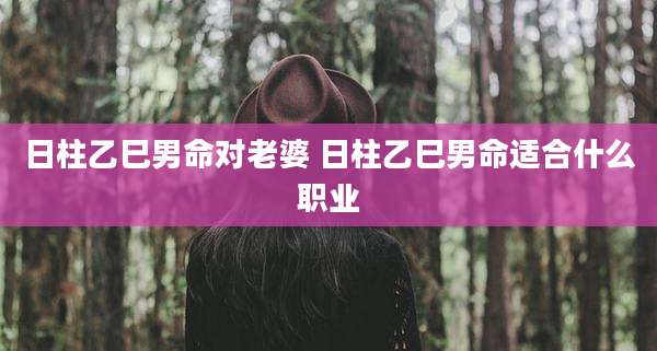 日柱乙巳男命对老婆 日柱乙巳男命适合什么职业
