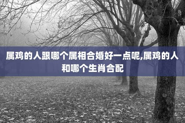 属鸡的人跟哪个属相合婚好一点呢,属鸡的人和哪个生肖合配