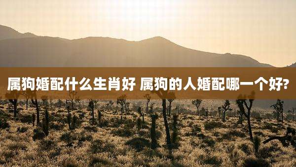 属狗婚配什么生肖好 属狗的人婚配哪一个好?