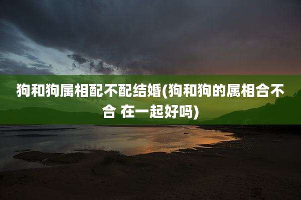狗和狗属相配不配结婚(狗和狗的属相合不合 在一起好吗)