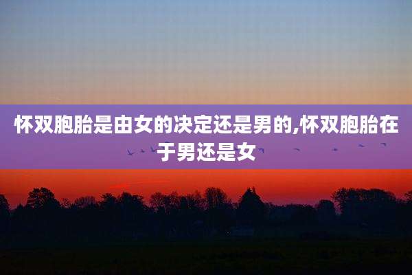 怀双胞胎是由女的决定还是男的,怀双胞胎在于男还是女