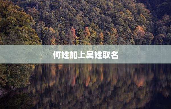 何姓加上吴姓取名