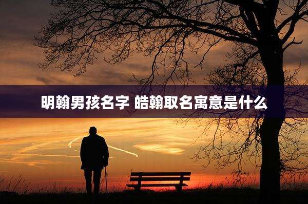 明翰男孩名字 皓翰取名寓意是什么