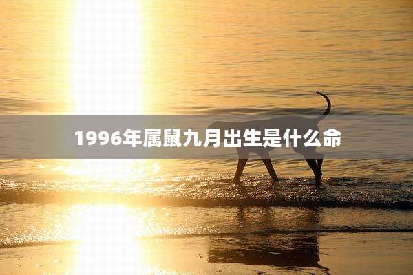 1996年属鼠九月出生是什么命