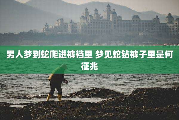 男人梦到蛇爬进裤裆里 梦见蛇钻裤子里是何征兆