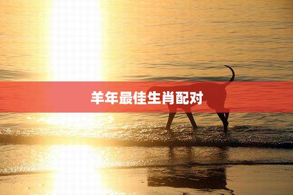 羊年最佳生肖配对