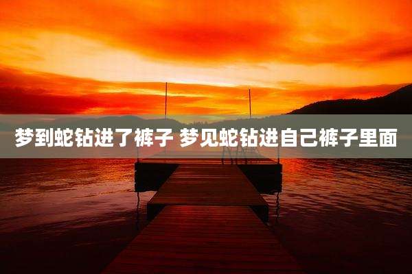 梦到蛇钻进了裤子 梦见蛇钻进自己裤子里面