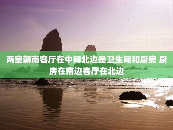 两室朝南客厅在中间北边是卫生间和厨房 厨房在南边客厅在北边