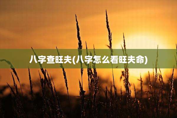 八字查旺夫(八字怎么看旺夫命)