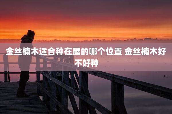 金丝楠木适合种在屋的哪个位置 金丝楠木好不好种