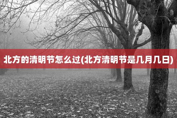 北方的清明节怎么过(北方清明节是几月几日)