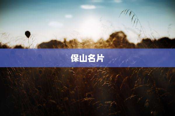 保山名片