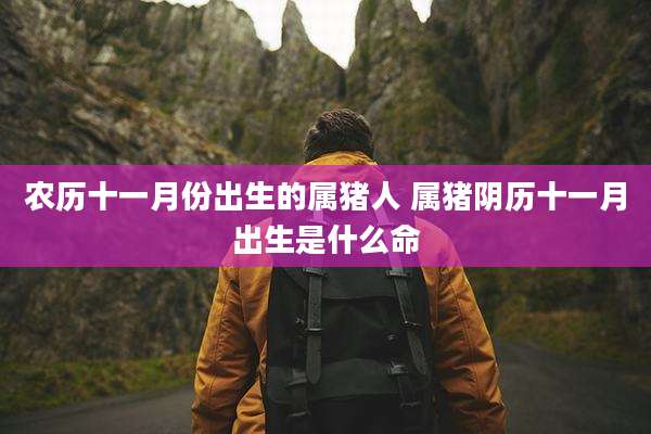 农历十一月份出生的属猪人 属猪阴历十一月出生是什么命