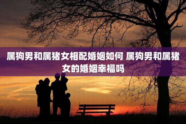 属狗男和属猪女相配婚姻如何 属狗男和属猪女的婚姻幸福吗