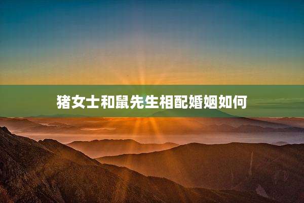 猪女士和鼠先生相配婚姻如何