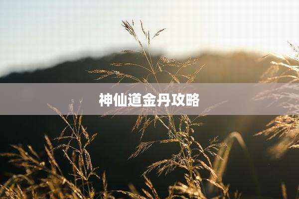 神仙道金丹攻略